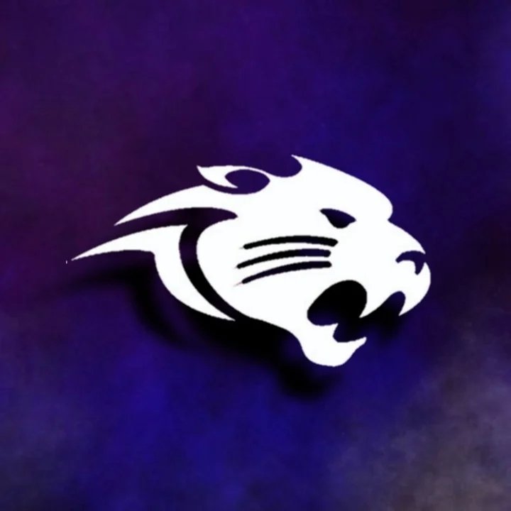 Brighton Panthers Logo