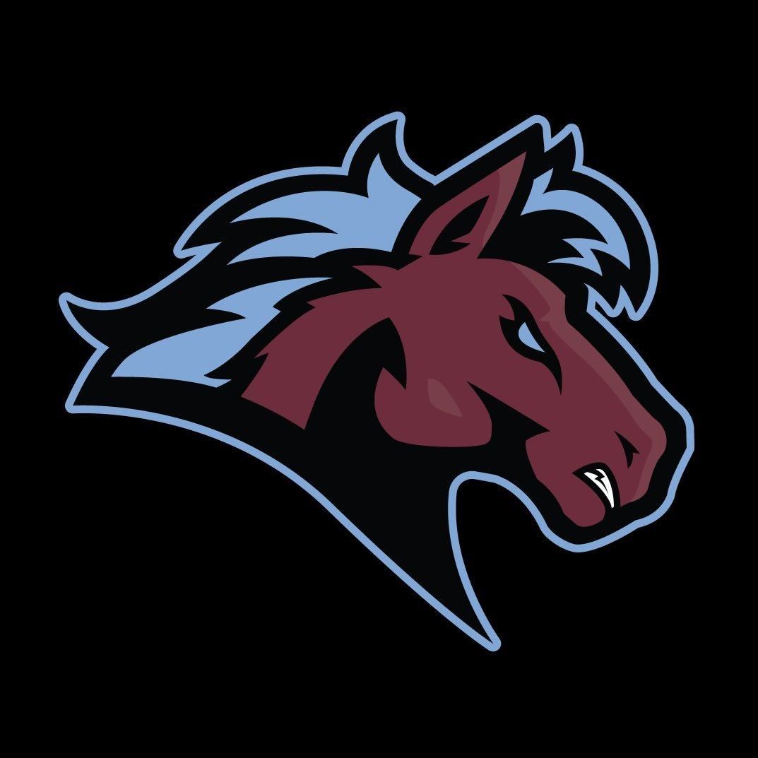 Canterbury CC Chargers Logo