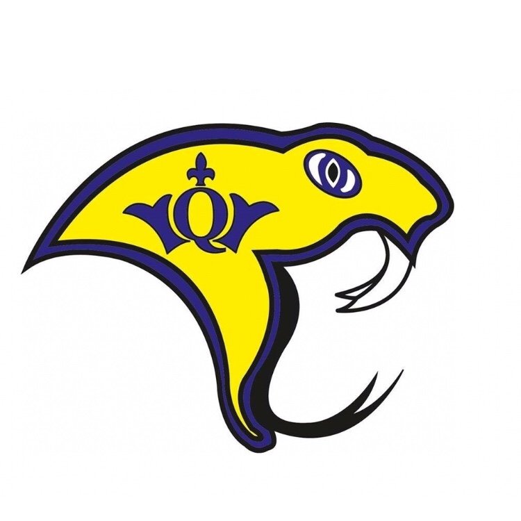 QMBL Vipers Logo