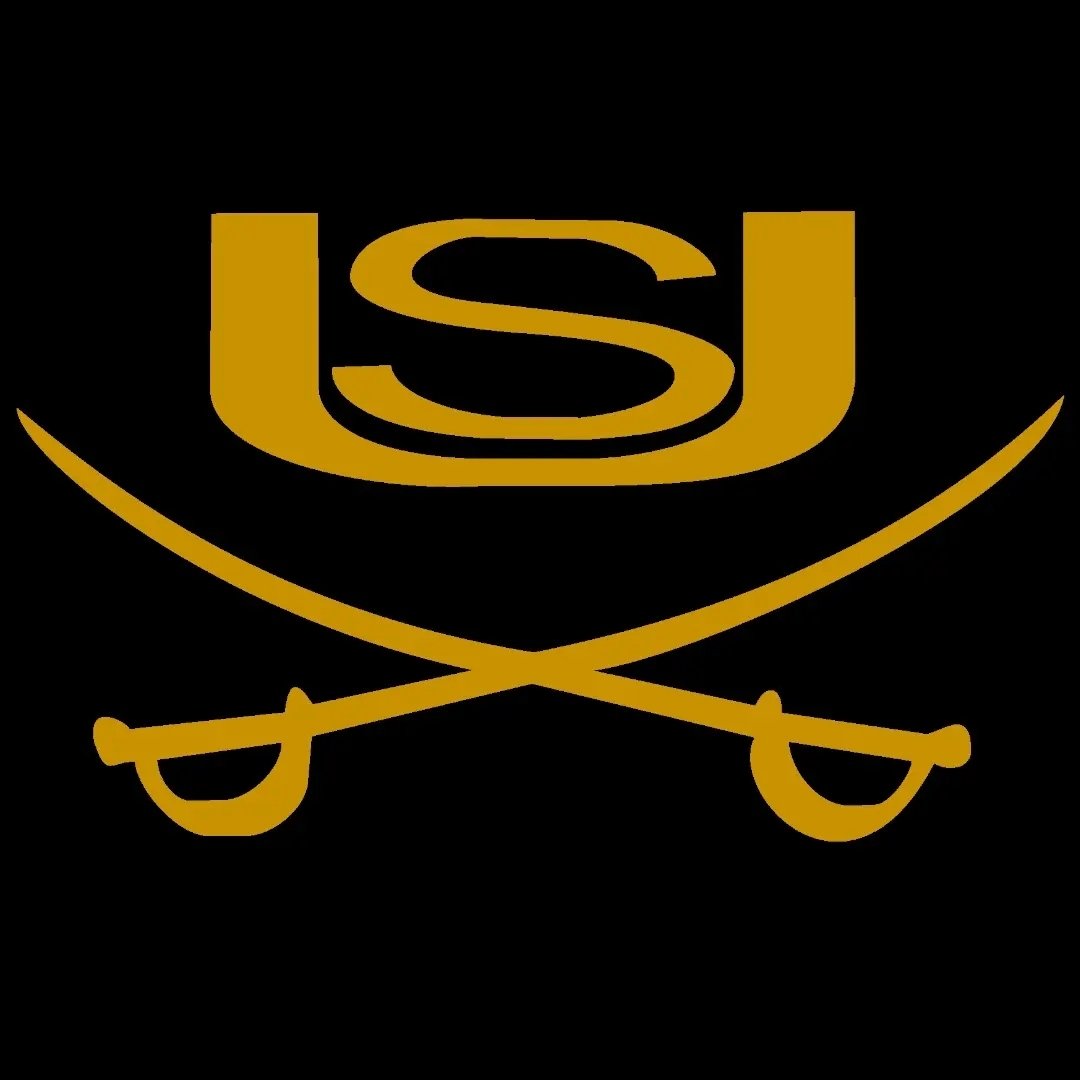 Sheffield Sabres Logo