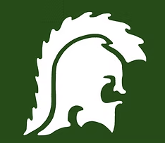 Swansea Titans Logo