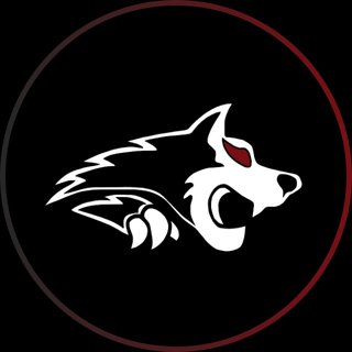 Warwick Wolves Logo