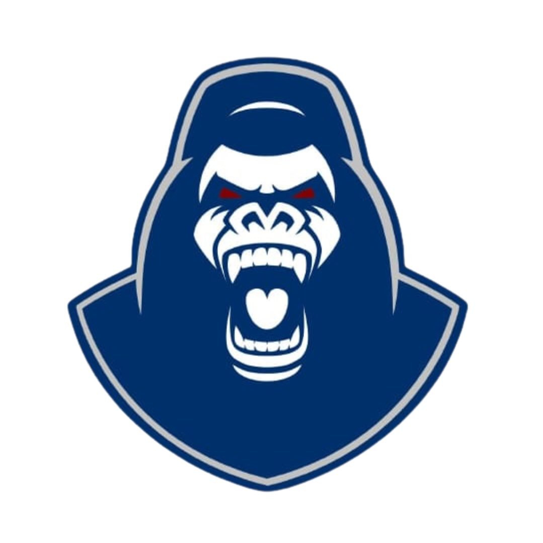 Winchester Silverbacks Logo